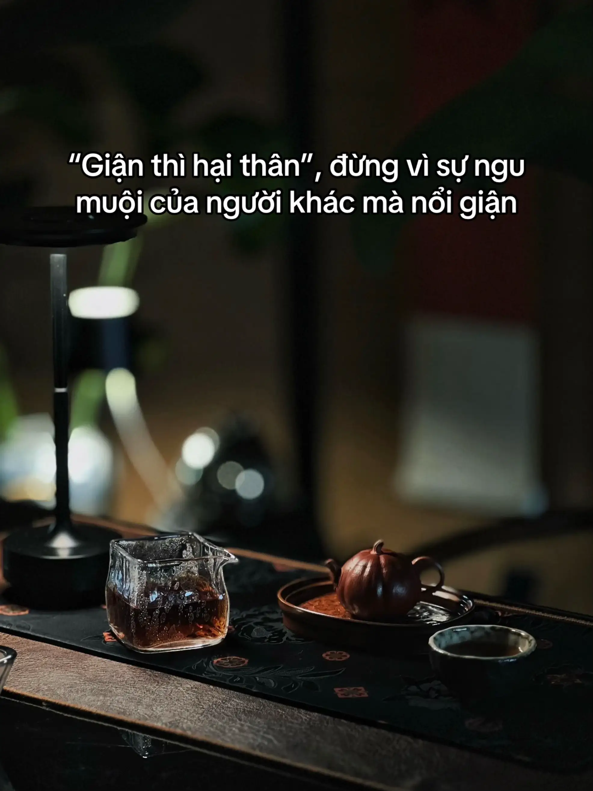 “Giận thì hại thân”, đừng vì sự ngu muội của người khác mà nổi giận. “Nếu một ng