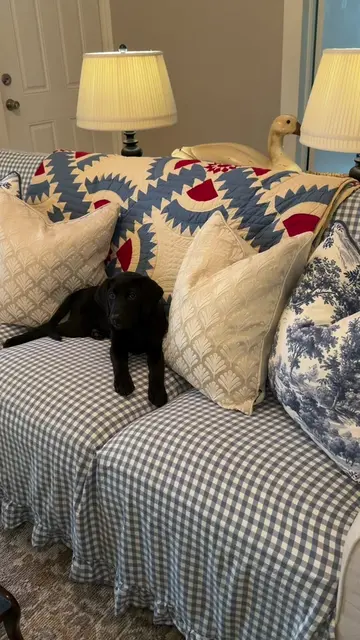Link to sheet I used⬇️ https://amzlink.to/az0LUnPwasKy1 offically dog proofing m
