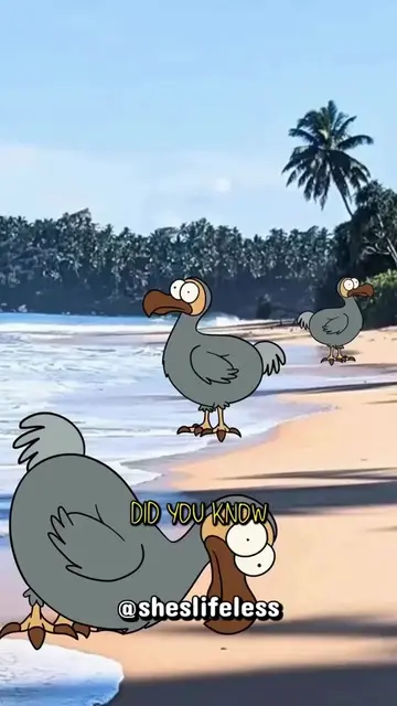 Why Dodos actually went extinct...  #fyp #DidYouKnow #viral #viralvideo #dodo 