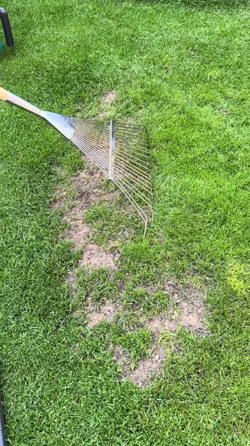 Repairing Summer Lawn Patches 🌱 Please do watch and listen along 👍  I’ve got a
