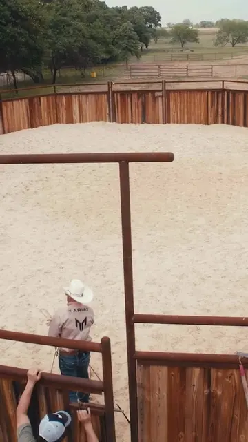 Throwback to when Rebel was a puppy and just getting started in the round pen. F
