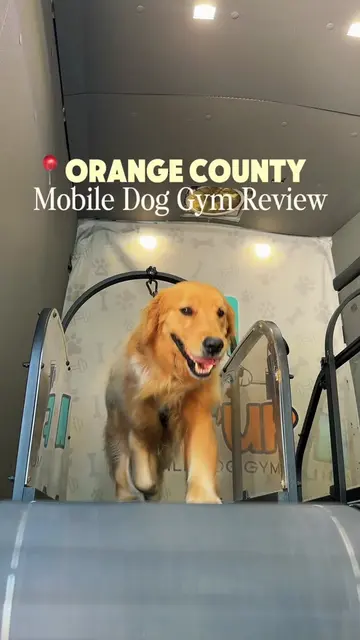 Genuinely one of the most convenient services as a dog owner  Your first session