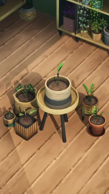 Plant lovers, it’s your time to shine 🌱 🪴 Leafy Corner is officially released 