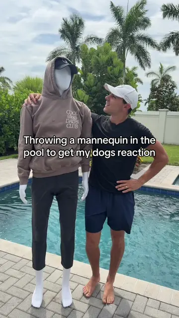 Who passed lifeguard training? 👀😂 #dogsoftiktok #husky #goldenretriever #puppy