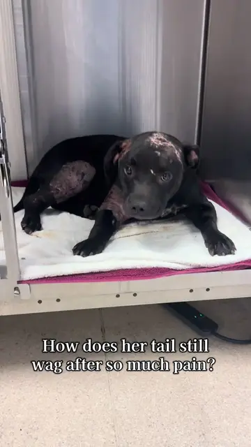 The bravest girl 🥺