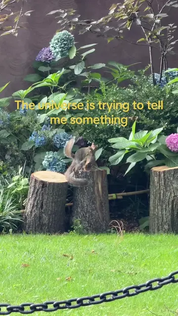 I’m not tagging them 