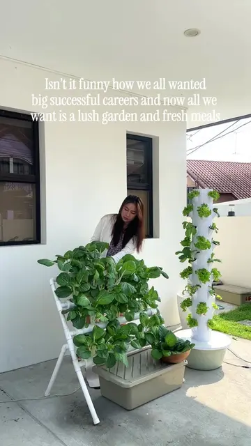 low cortisol thingsss🫶 #hydroponics #soillessgardening #minifarm #urbanfarming 