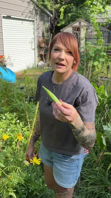 Saving Okra seeds in the garden