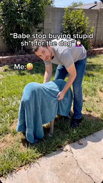 Comment “SWIM” if you need one ASAP 🐕❤️🐾 #dogmom #dogs #doglife The life jacke