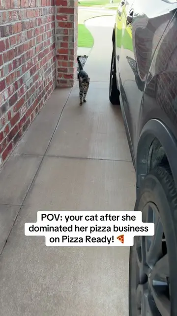 Try Pizza Ready today! 🍕 #PizzaReady #PetMeme #AnimalsOfTikTok #CatsOfTikTok #M