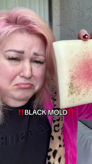 Black mold on my squishy #squish #tabasquishy #squishy #squishytoy #blackmold 