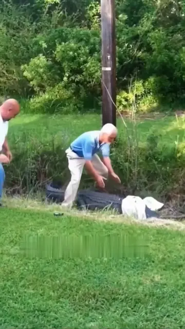The Secret Trick Zookeepers Use to Control Crocodiles 🐊 #crocodile #animal #zoo