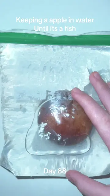 #viralchallenge #pleasedontflop #sciencefun #appleexperiment #appleinwater 
