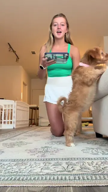 Maisey lovessss blueberries this was so fun🥹🥹  #puppytraining #newpuppy #cavap