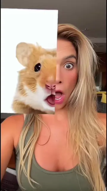 ✨This trending animal’s face filter CapCut template is super popular online🐱🐶 