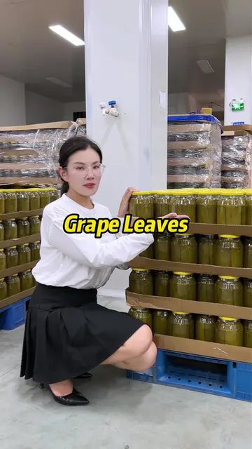 Look, this is our grape leaves factory. Pickled grape leaves Stuffed grape leave