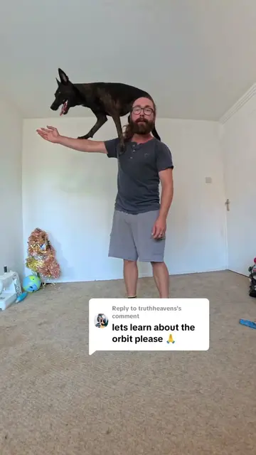 Replying to @truthheavens How to teach your dog the trick Orbit.  #dogsoftiktok 