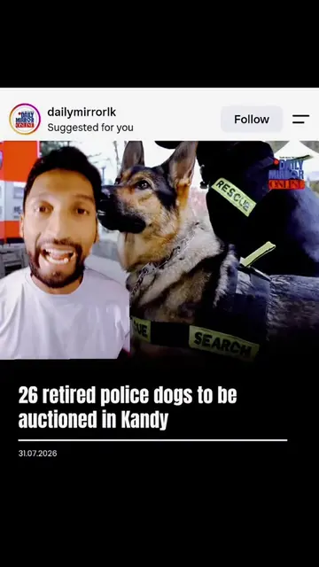 Please find them loving homes🐕🦮🙏🏽 #canine #policedogs #dogs #doglover 
