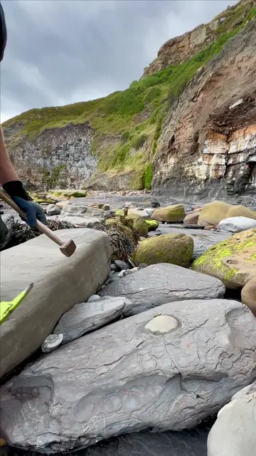 We came across a HUGE shale landslide filled with rocks containing fossils! 🏝️ 