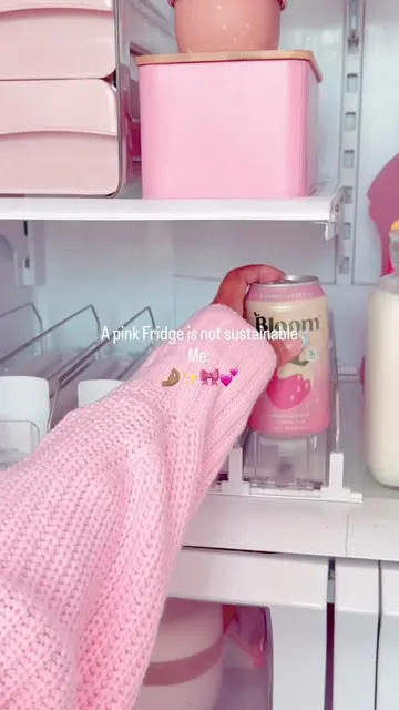 A pink fridge is sustainable, you just need the right containers and a system th