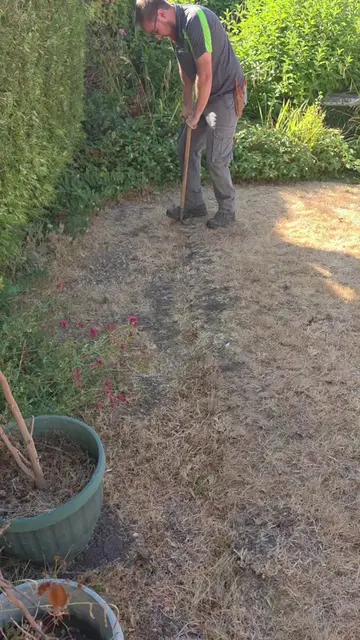 Lawn edging. 🌿