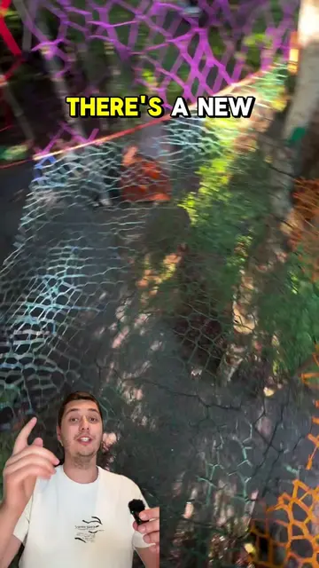 🌳 A tree netting business is turning backyards into magical play spaces. Instea