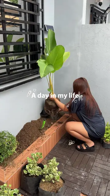 Minivlog | May mini garden na sa labas ng bahay, naging plantita na talaga mimaa
