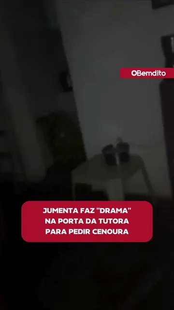Uma cena divertida conquistou a internet. Caiana, uma jumenta que vive no Lar do