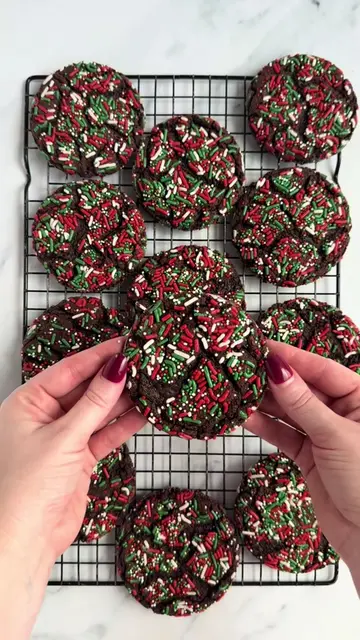 It’s the last day of my Christmas in July series & we’re ending on a fun one🎄 T