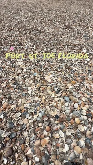Port St. Joe has my heart, it’s one of those places you visit once and immediate