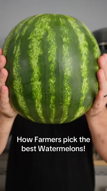 How farmers pick the best watermelons every single time!  #watermelon #foodhacks