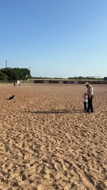 Cheyenne decided it was time for her to take over the training on King too 😁
