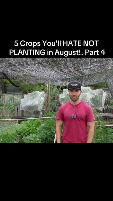 5 Crops You'll HATE NOT PLANTING in August!. Part 4 #gardening #PlantTok #garden