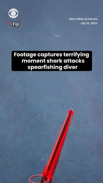 A diver's camera caught the terrifying moment a shark circling below him darted 
