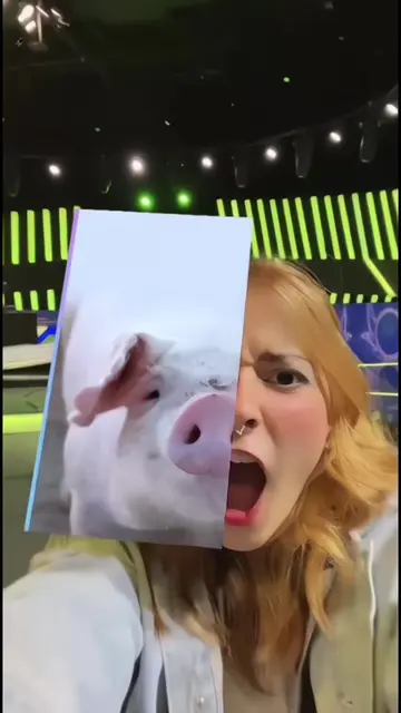 ✨This trending animal’s face filter CapCut template is super popular online🐱🐶 