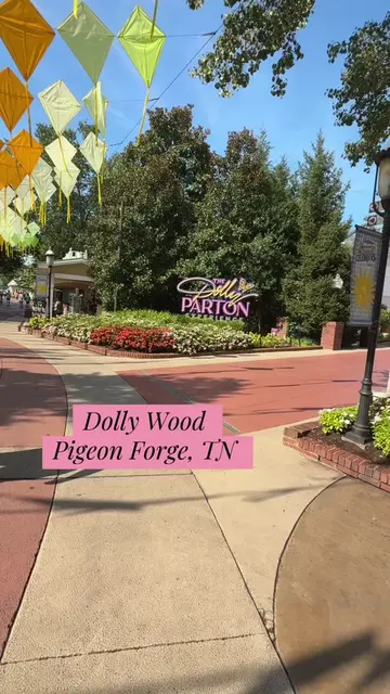 Nothing says vacation like a day at Dollywood! 🎢🎡 From thrilling rides and del