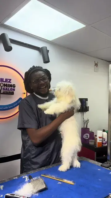 Some names carry more than identity,they carry culture. ❤️🐾 Meet Jola, a handso