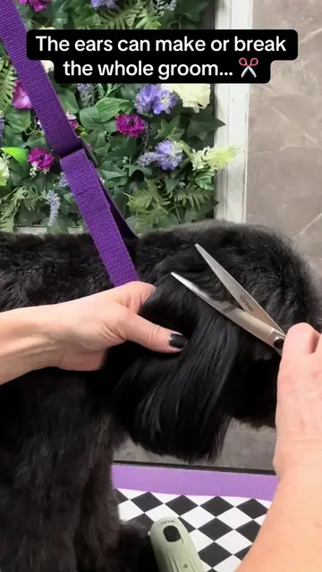 It’s the little finishing details that bring the whole groom together. ✂️🤍 Just