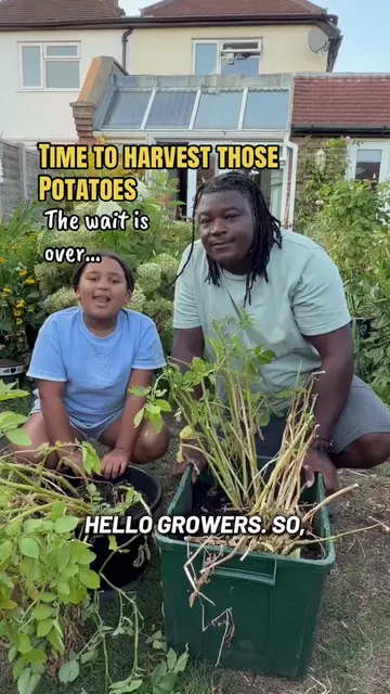 For those that have been waiting, here is the video of us harvesting the potatoe
