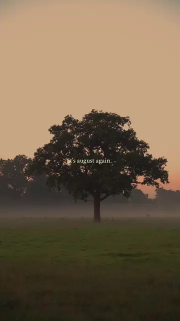 hello, august 🍃