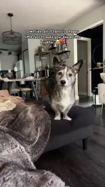 My happy little man 💖  Hunter wanted to remind you to drink some water, take a 