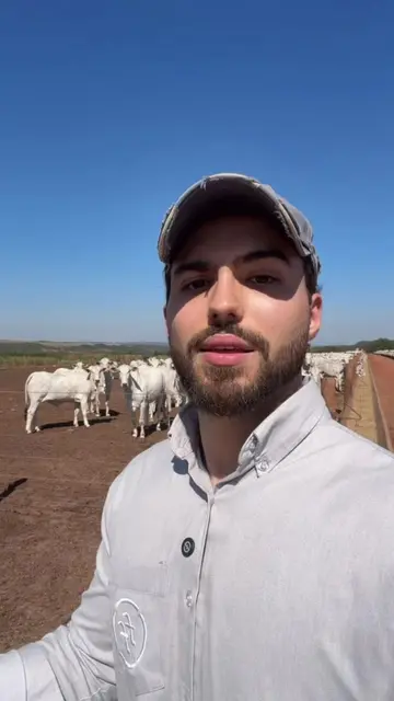 Adoto ela? O que acha que devo fazer, visionário? Comenta ai 👇 . . . . #agro #c