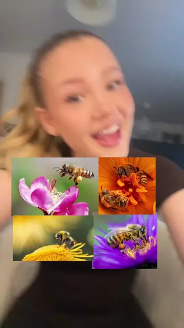 Save our bees 🐝 #saveourplanet #environment #sustainableliving #extinctanimals 