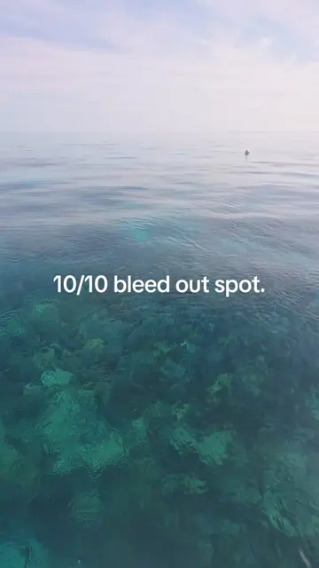 10/10