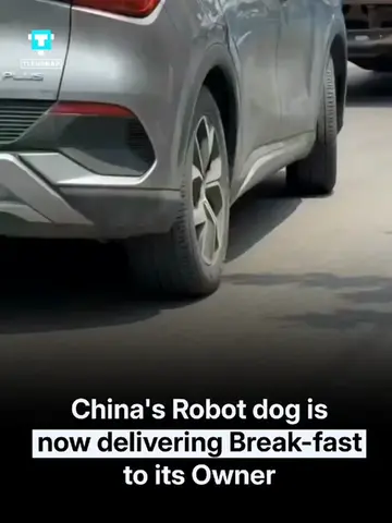 Robot Dogs Are Now Delivering Breakfast in China! A quadruped robot dog has been