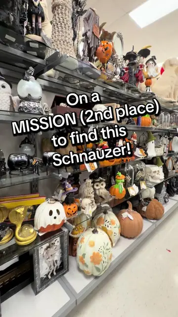 Ok, 2nd place and I failed again @TJ Maxx  It’s ok…, I’m #onamission to find thi