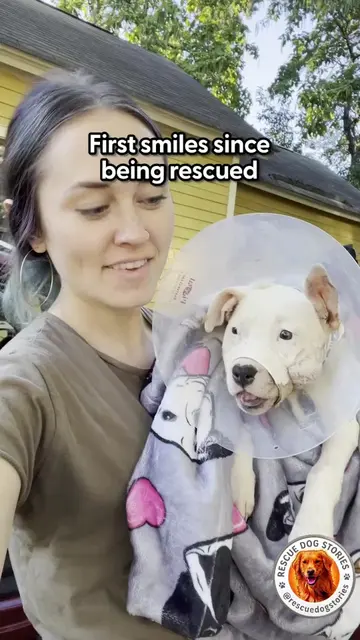 🐶🐾Every dog deserves a second chance. They don't need perfect lives—they just 