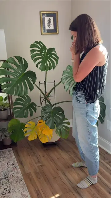 Life Lessons from Plants:  1. Healing takes time. Don’t rush it.  2. if a huge a