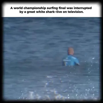 On July 19, 2015... Three-time world champion Mick Fanning was waiting for a wav