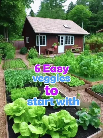 🌱 6 Easy Vegetables Every Beginner Should Grow!Starting your first vegetable ga
